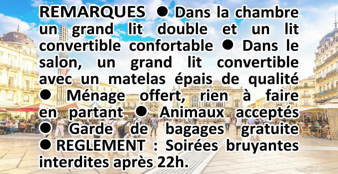 蒙彼利埃Comedie Musee-Fabre Parking Offert Climatisation公寓 外观 照片