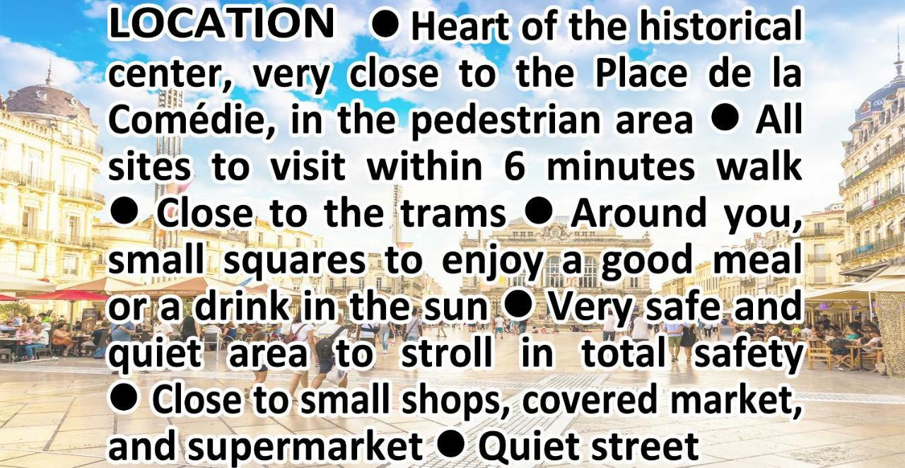 蒙彼利埃Comedie Musee-Fabre Parking Offert Climatisation公寓 外观 照片